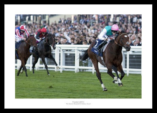 Frankel 2011 queen elizabeth - queen,