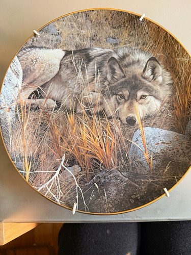 The bradford exchange wolf - the,