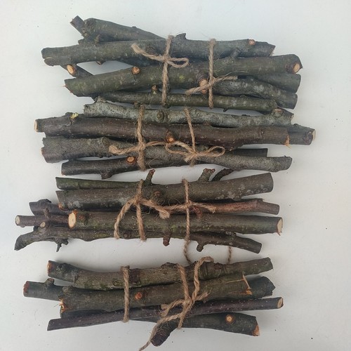 Organic apple wood - apple,