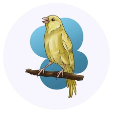 24 x 'Perched Yellow Canary' Stickers (SK00050783)