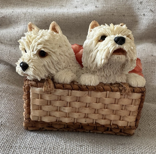Westie dog west - west, highland