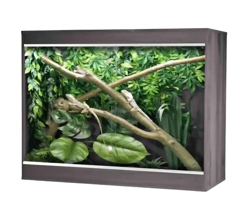 Vivexotic grey arboreal - vivexotic,