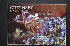 Guernsey 2014 Marine Life (2nd