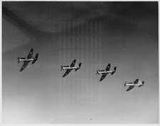 WESTLAND WYVERN - Original