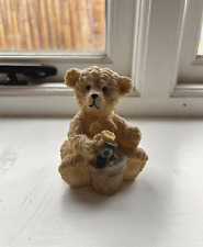 Mini Teddy With Plant Pot