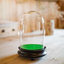 Small antique specimen - antique, dome