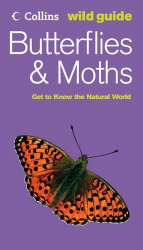 Butterflies and moths collins - and,