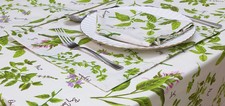 Herbs Placemats Pack of 2 13 x