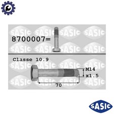 PULLEY BOLT 8700007 FOR