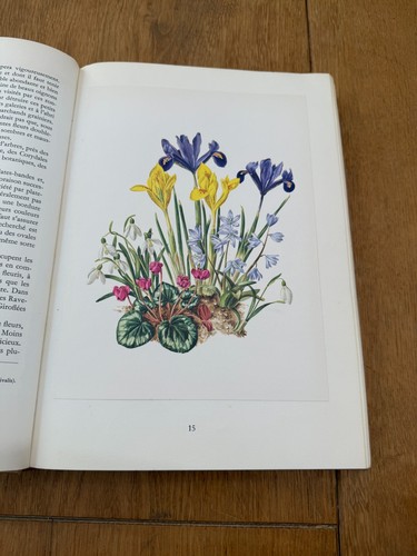 Vintage french floral - 60,