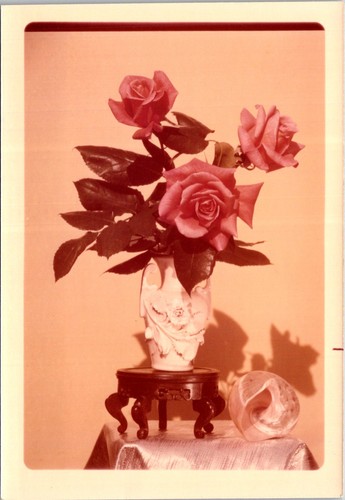 Roses white ceramic - white, vase