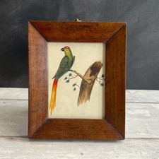 19th Century Miniature Bird
