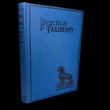 Practical taxidermy montagu - taxidermy,