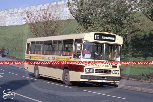 Bus photo reynard - reynard,