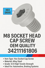 BMW Hex Bolt Single Disc or