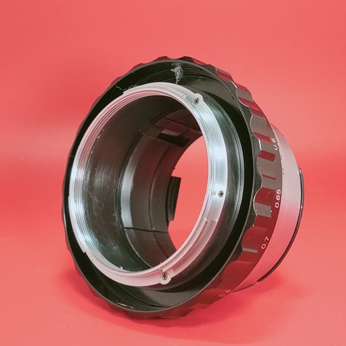 Mint zenza bronica - [mint],