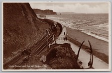 TEIGNMOUTH Devon Whale Bones &