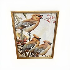 Lovely vintage framed bird - lovely,