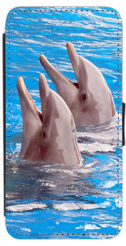 Dolphins cute sealife - dolphins, for