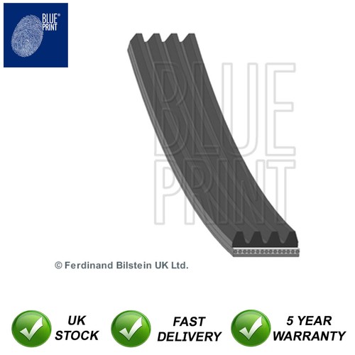 Alternator belt blue print - belt,
