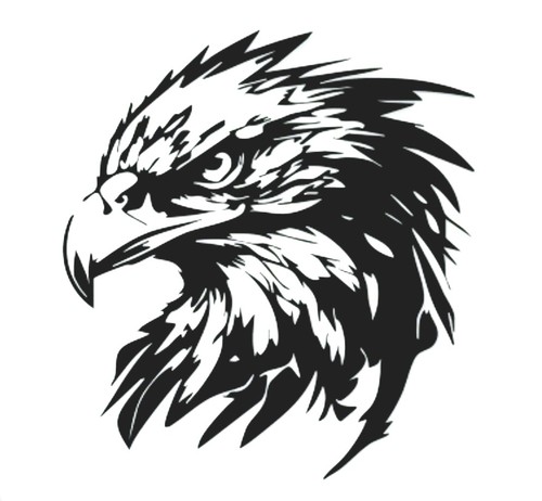 Extra large hawk - large,
