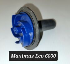 Lotus Oasis Maximus Eco 6000