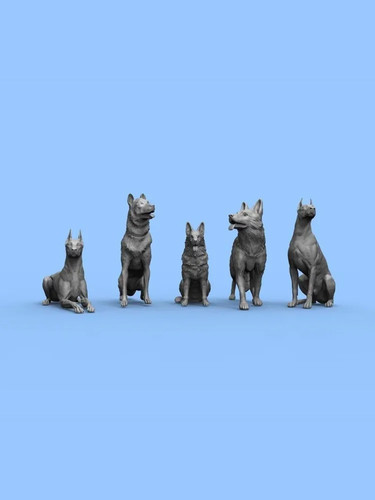 6 5pcs 3d print model - -,