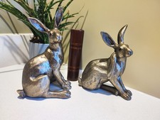 Contemporary hare rabbit - hare,