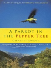 A parrot in the pepper tree