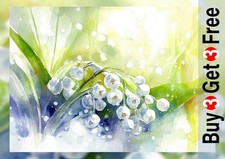 Lily of the Valley 5"x7" Print