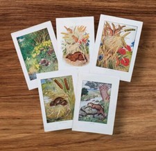 Antique 1920s Field Mice Water Voles Otters British Wildlife Book Art Prints 