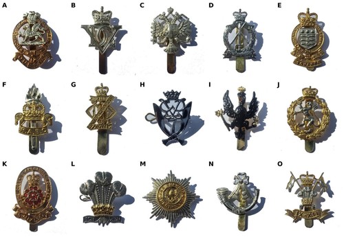 Regiment badges job lot - regiment, "