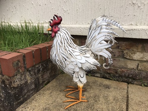 Large white rooster cockerel - large,