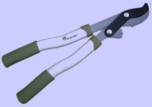 Garden tools essential - garden, tools: