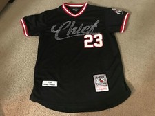 RARE FOX WARRIOR BASKETBALL