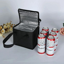 Large/Medium Insulated Lunch