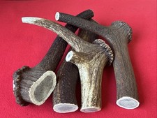 One Piece of Natural Deer