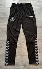 Hummel Everton Authentic