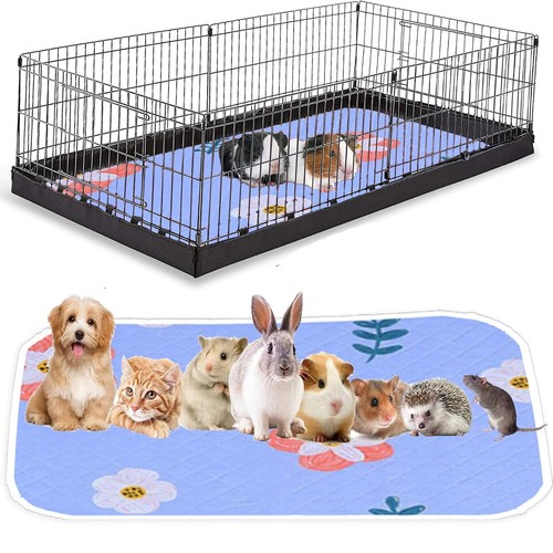 Guinea pig cage absorbent - guinea,