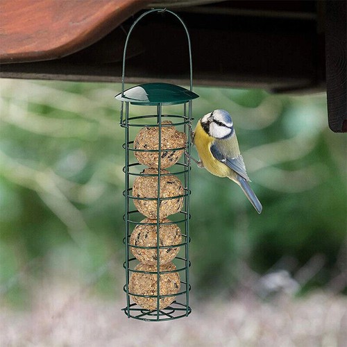 Large bird hanging feeder - bird,