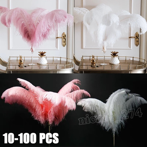 100 large ostrich feathers - large,