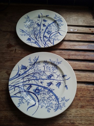 Rare english ironstone - rare,