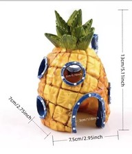Brand New PINEAPPLE HOUSE and