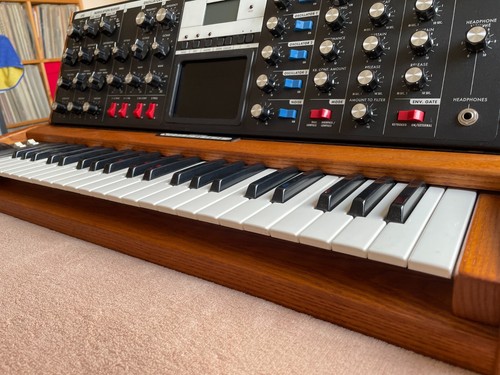 Moog minimoog voyager - moog, in