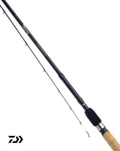 Daiwa theory speci - speci, quiver