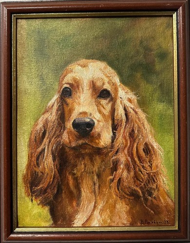 Peckham 1978 irish - irish, setter