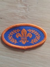 UK Scouting DISCONTINUED Chief