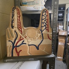 Vintage Sargent-Welch