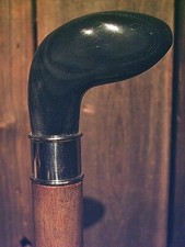 walking stick Buffalo Horn