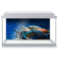 Fish Tank Background 90x45cm - Sea Turtle Ocean Nature Cool  #2334